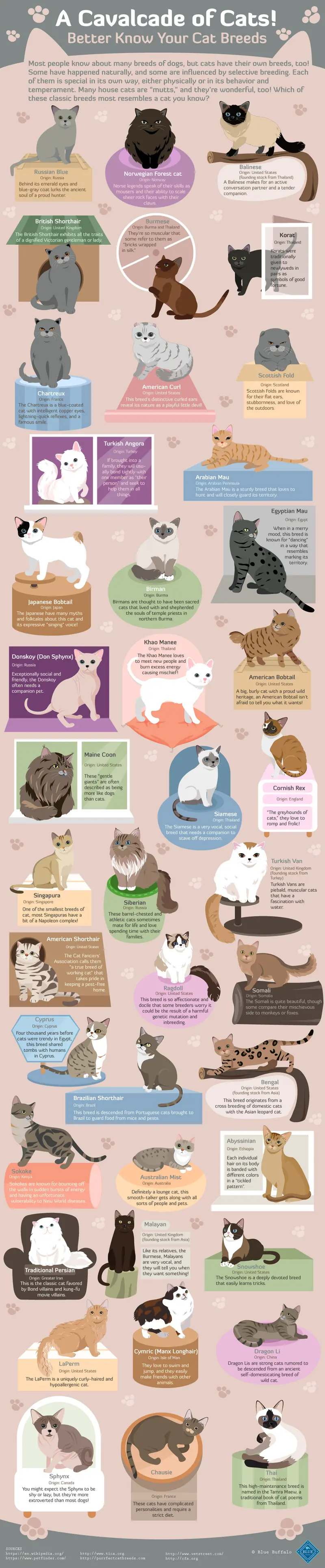 Map: A Cavalcade of Cats: the many breeds of cats, their origins, and quick cat facts
