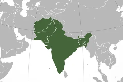 Map: Afghanistan Pakistan India Bangladesh with National Boundaries on Orthographic Projected Map