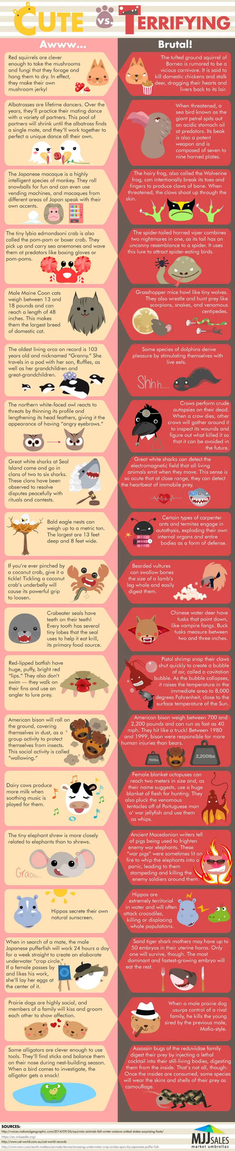 Map: Animal Facts: Cute vs Terrifying