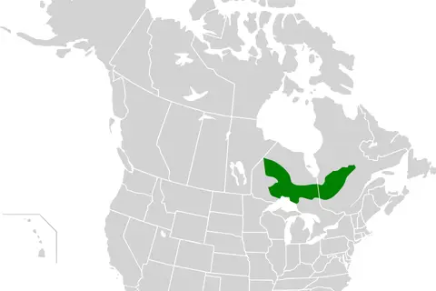Map: Central Canadian Shield Forests Map