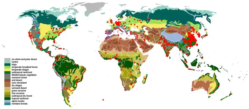 Map: Cities within the World’s Biomes