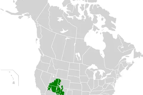 Map: Colorado Plateau Shrublands Map