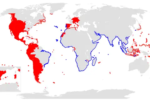 Map: 13461353 Spread of the Black Death in Europe Map