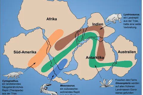Map: Gondwana Fossil Map Ger