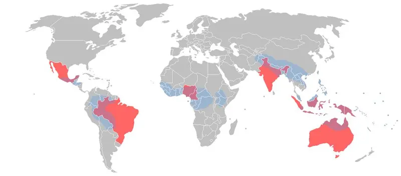Map: Linguistic diversity : 50% of the World’s languages are located in countries donated in red. in blue are areas of great diversity