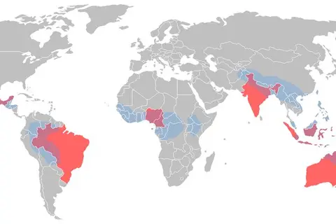Map: Linguistic diversity : 50% of the World’s languages are located in countries donated in red. in blue are areas of great diversity