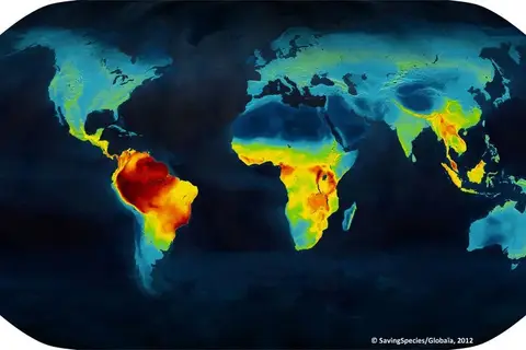 Map: Map of the density of different vertebrate species