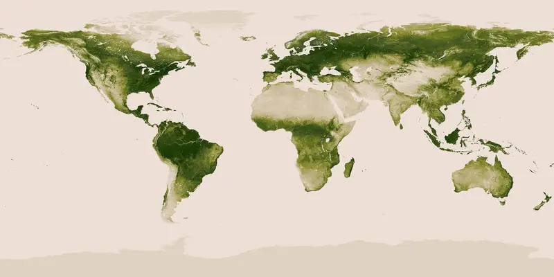 Map: Map of the Earth’s vegetation.