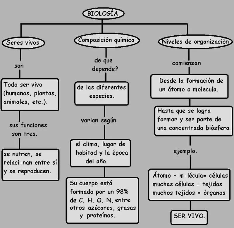 Map: Mapa Conceptual de Los Seres Vivos Sus Niveles de Organizacion Y Composicion Quimica