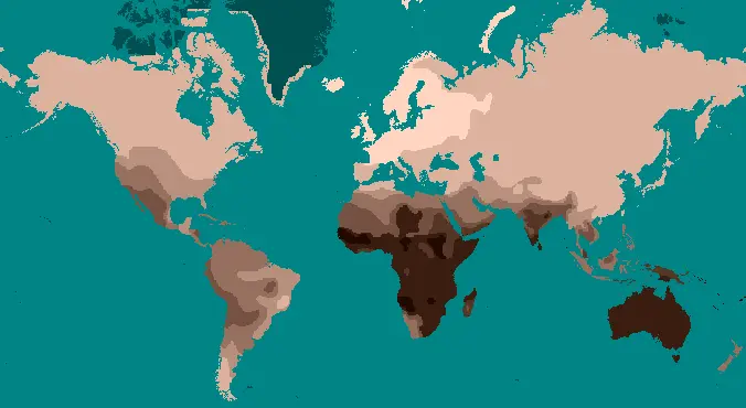 Map: Mercator Style Projection Map Showing Human Skin Color According to Biasutti 1940