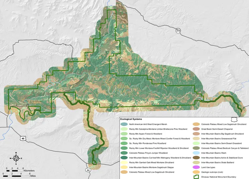 Map: Nps Dinosaurnationalmonumentvegetation Map