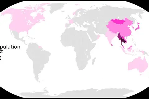Map: Percentage of Buddhist Population Globally