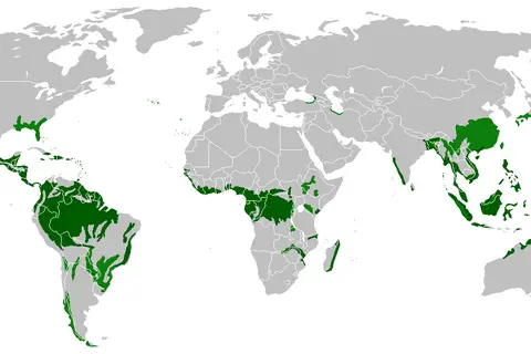 Map: Rain Forest Location Map