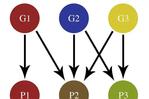 Map: Simplegenotypephenotype Map