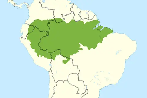 Map: South America Wikivoyage Locator Maps Amazon Rainforest Green