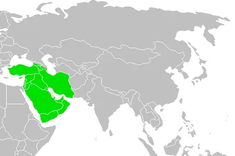 Map: Southwestasia Map