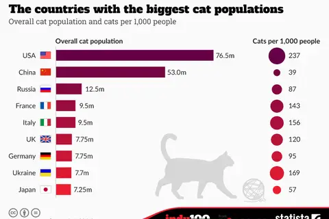 Map: The countries with the biggest cat obsession in the world.
