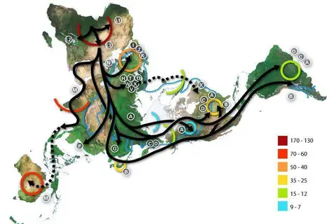Map: World Map of Prehistoric Human Migrations